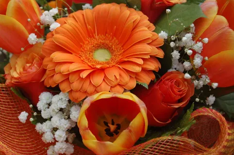 花, 百合花, 花的, 开花植物, 新鲜, 橙色, 脆弱, 厂 花, 百合花, 花的, 开花植物, 新鲜, 橙色, 脆弱, 厂