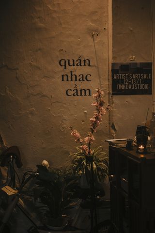 米色墙边的粉红色花瓣的花