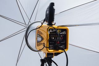 外星人蜜蜂，320瓦，频闪，闪光灯，灯光，摄影，装备，设备