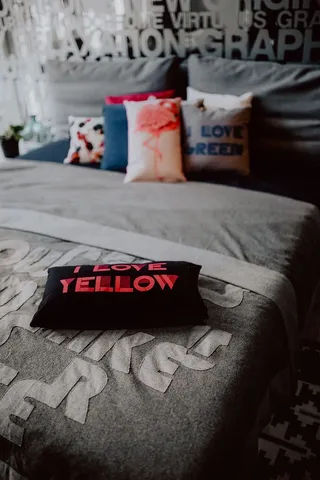 斯堪的纳维亚装饰枕头