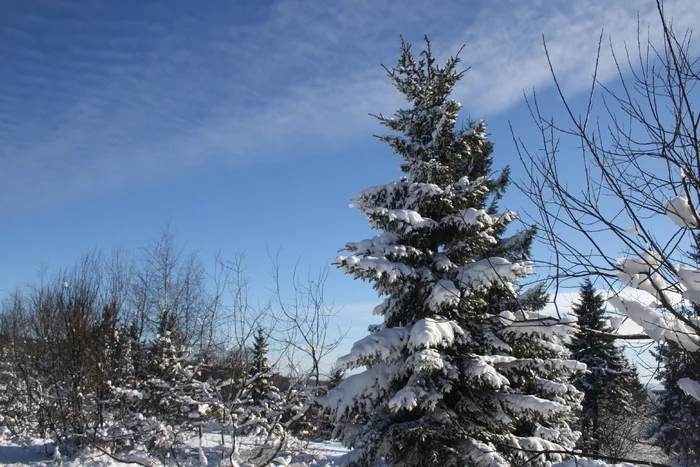 雪，山，冬天，自然，天空，快乐，风景，霜冻