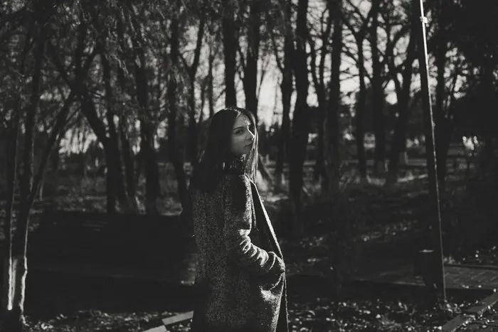 亚美尼亚，埃里温，酷，壁纸，树，漂亮，真棒，女孩