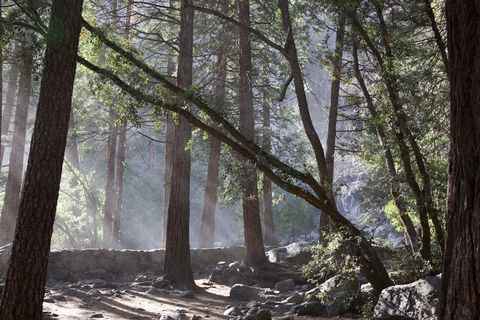 优胜美地，瀑布，瀑布，公园，加利福尼亚州，优胜美地，瀑布，公园，国家，自然