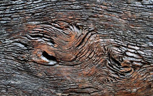 棕色树板，图案，背景，全框架，纹理，木质材料，无人，特写