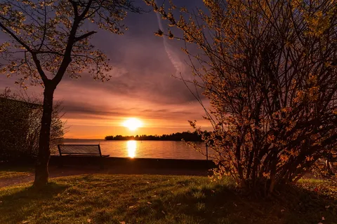 裸体,树木摄影,金色,小时,自然,风景,日落,风景 裸体,树木摄影,金色,小时,自然,风景,日落,风景