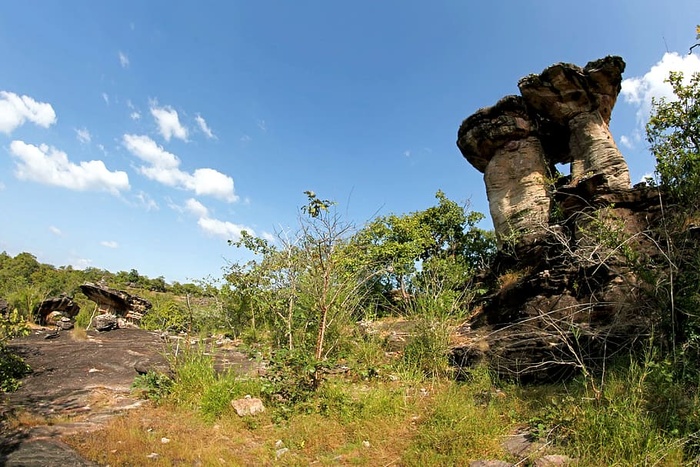 风景、天空、云朵、岩石、日光、环境、草地、户外