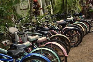 美国，卡帕，海滩巡洋舰，热带，棕榈树，背景，壁纸，自行车