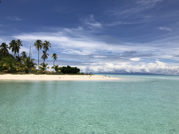 风景，海滩海岸，semporna，军舰岛，大海，晶莹剔透，风景，棕榈树