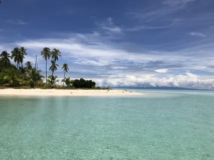 风景,海滩海岸,semporna,军舰岛,大海,晶莹剔透,风景,棕榈树 风景,海滩海岸,semporna,军舰岛,大海,晶莹剔透,风景,棕榈树