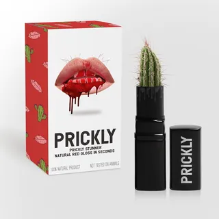 带盒的多刺红色光泽口红