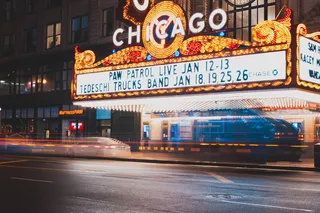 芝加哥爪子巡逻队直播