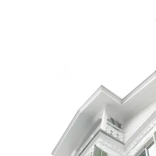 白色天空下的房子