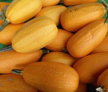 西葫芦、蔬菜、生物制品、农产品、南瓜、蔬菜、食品、食品和饮料