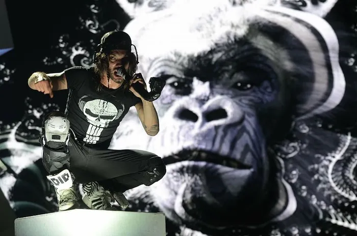 成人、黑白、音乐会、服装、节日、大猩猩、男人、单色