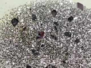 晶体、碘、沉积物、昆虫、无脊椎动物、野生动物、动物、野生动物