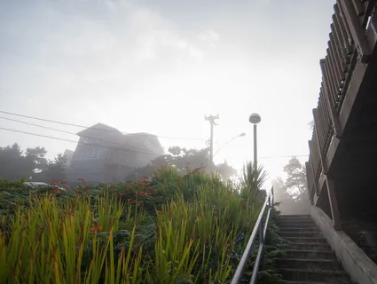 俄勒冈州，海岸，美国，台阶，楼梯，心情，雾，旅行