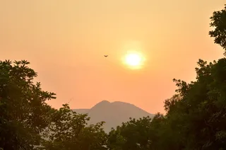 日落，鸟儿归来，大自然之美，树木，天空，山脉，植物，风景-大自然