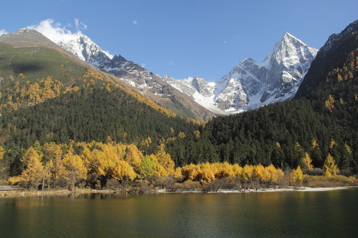 风景，笔触沟，雪山，高山，树木，植物，风景-自然，水