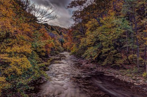秋天，秋天，树叶，河流，黄色，季节，红色，自然