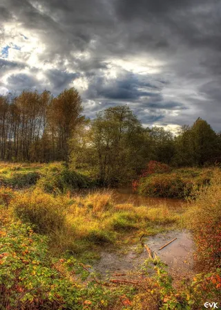 沼泽地、天空、云、户外、风景、宁静、平流层、大气