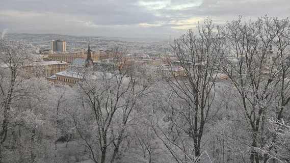 brno捷克*，捷克*，建筑，树木，建筑结构，建筑外观，天空，裸树