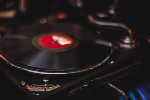 未使用的黑色和红色转盘