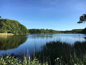 水，自然，倒影，湖泊，植物，水，天空，宁静