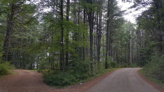 二,空,小径,高,树,白天,双向道路,白天 二,空,小径,高,树,白天,双向道路,白天