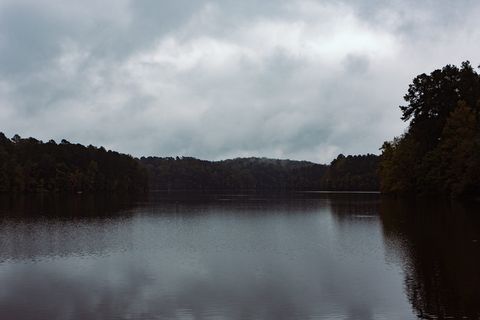 美国，教堂山，树，水，云天，天空，植物，湖泊