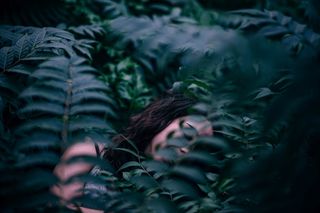 健康、轻盈、时尚、人性、艺术、艺术品、美丽、美丽