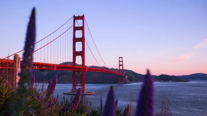 美国, 旧金山, 金门大桥, 鲜花, 加利福尼亚州, 旧金山, 自然, 海洋