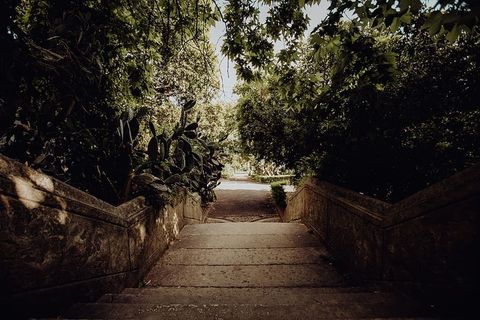 葡萄牙里斯本贝伦热带植物园