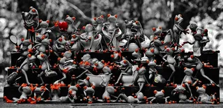 精选，彩色摄影，青蛙，很多，青蛙组合，可爱，收藏，弥撒