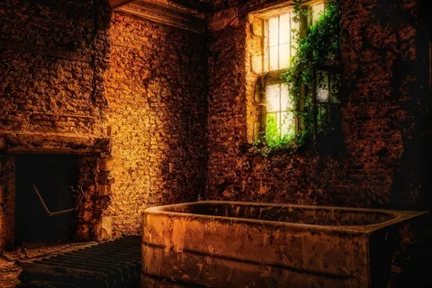 失落的地方，房子，别墅，房间，空间，砖石，神秘，忘记