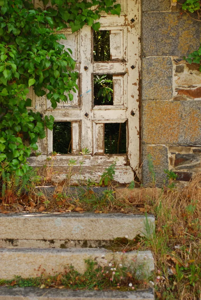 旧门, 法国, 偷看, 体系结构, 建筑外观, 建筑结构, 植物, 构建