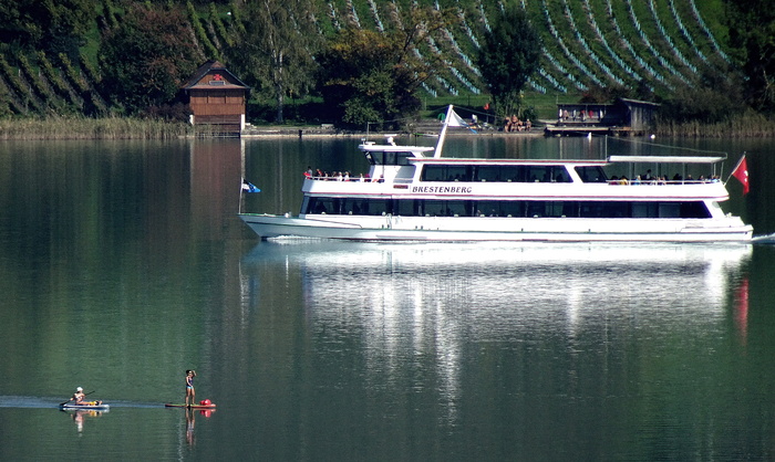 哈尔维尔湖，秋天，Seegluck，船，sup，水，镜像，水上运动