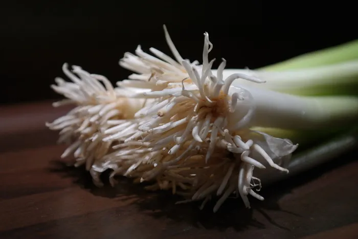 葱，韭菜，根，茎，蔬菜，作物，植物，葱