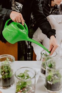 在罐子里建造雨林玻璃器皿