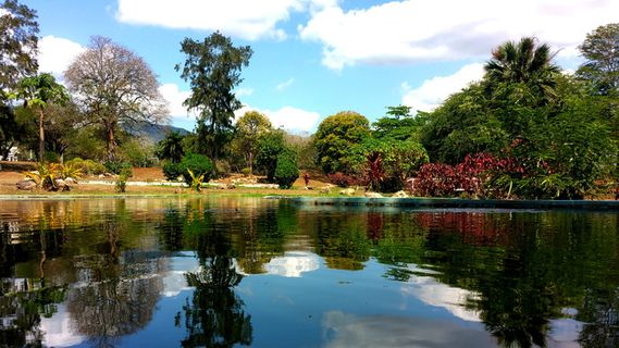水、自然、户外、池塘、树木、植物、土地、冷杉