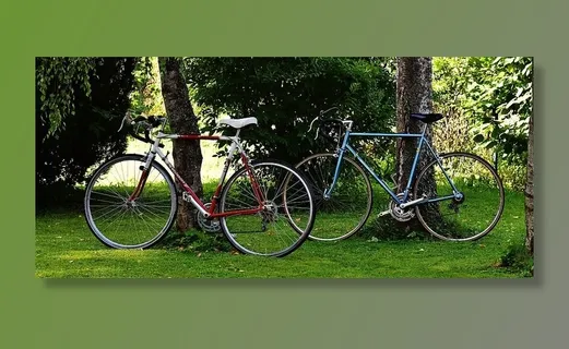 红白公路自行车