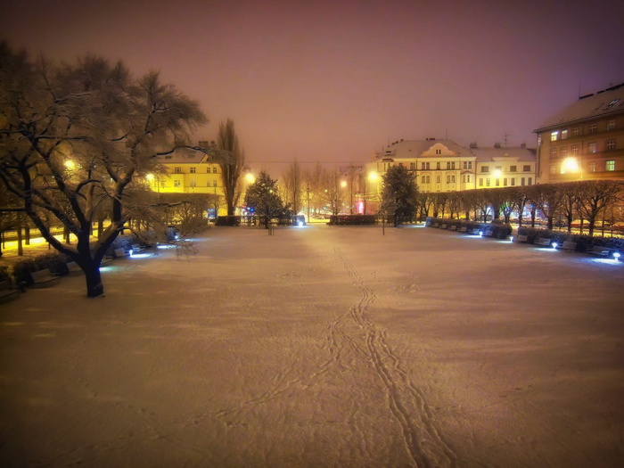 布尔诺，捷克*，风景区，公园，冬天，雪，冰，夜晚