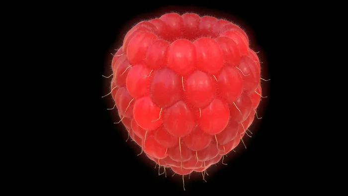 红莓果、覆盆子、水果、红色、大型、3d、搅拌机、黑色背景