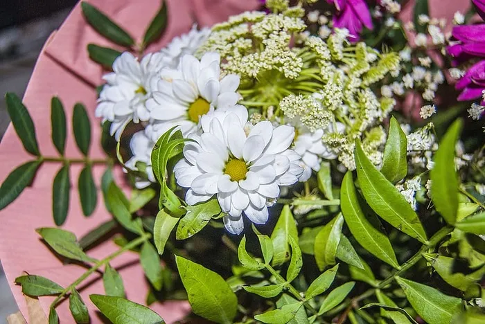 花束，植物，装饰，花瓣，美丽，客厅，粉色，爱