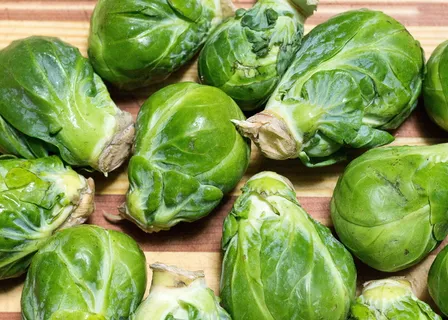 芽苗菜、蔬菜、农业、生长、绿色、春季、蔬菜、花园 芽苗菜、蔬菜、农业、生长、绿色、春季、蔬菜、花园