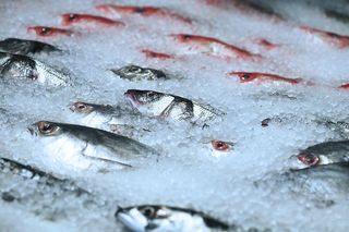 鱼市场，鱼，新鲜，冰，市场，海鲜，新鲜度，食品