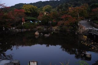 日本，京都县，树木，平静，京都，池塘，水，颜色