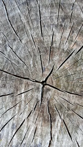 木材、节点、纹理、植物、水果、桌子、全框架、背景