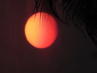 太阳、近景、摄影、橙色、满月、轮廓、图像的照片