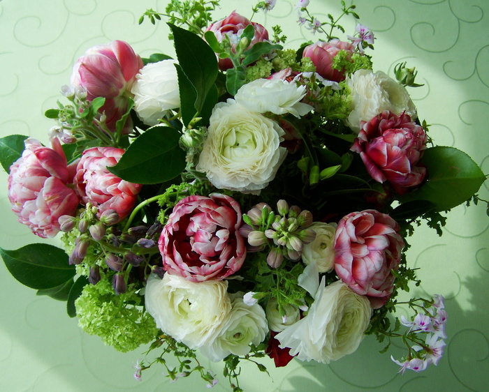 花束、颜色、切花、沙拉、新鲜度、健康饮食、蔬菜、食品和饮料