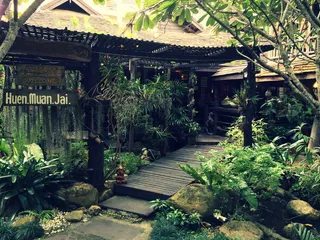 泰国清迈，餐厅，植物，花园，热带，树叶，植物